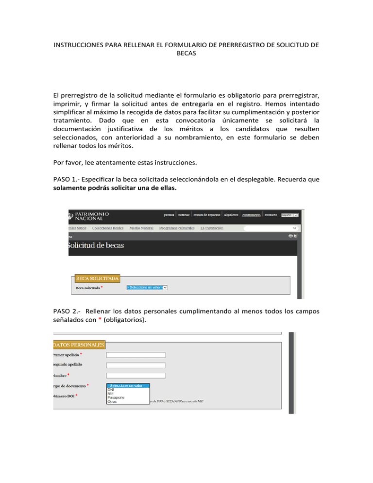 2. Errores en la Complementación del Formulario de Solicitud
