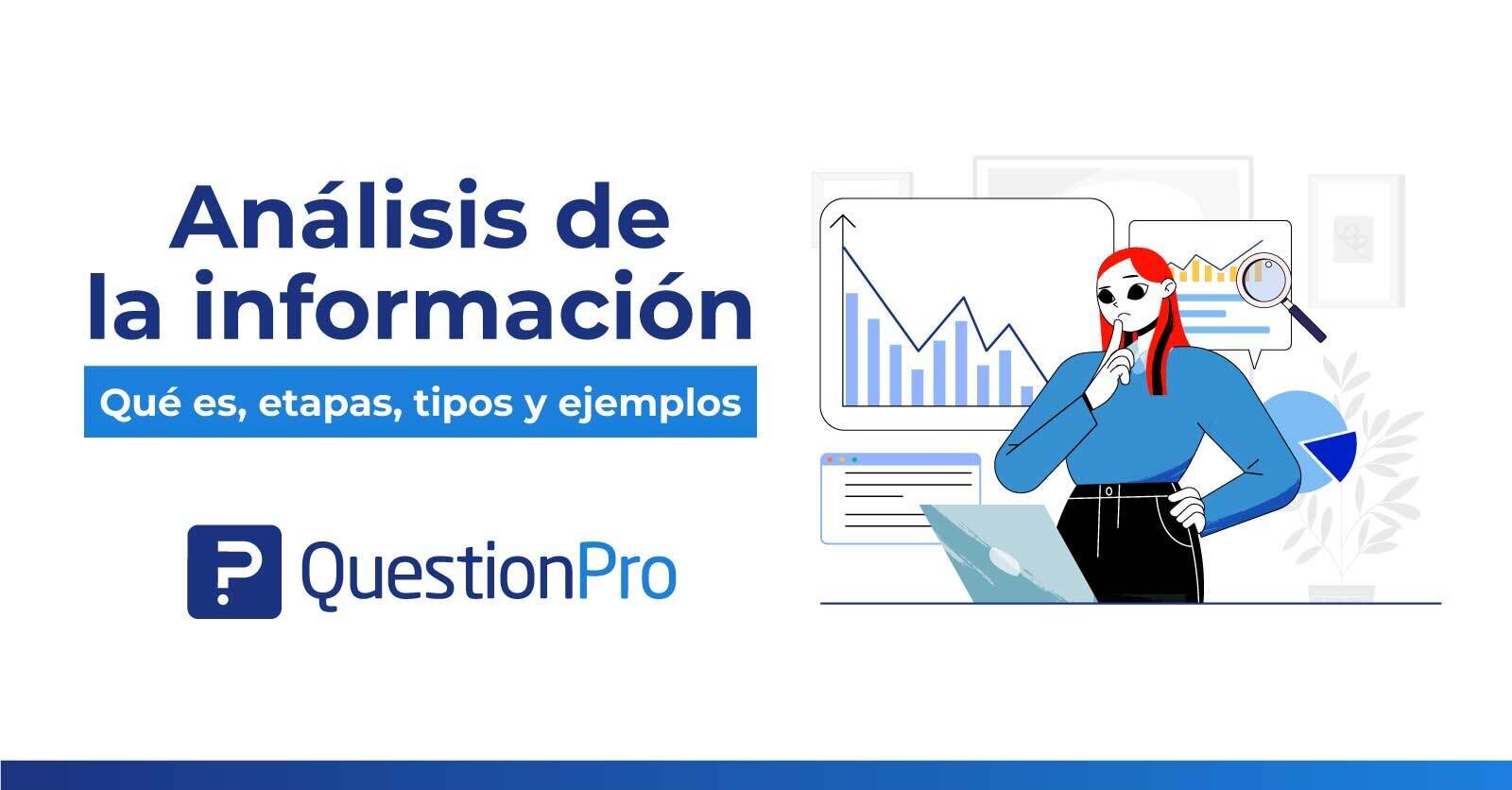 4.  Organización y Análisis de la Información