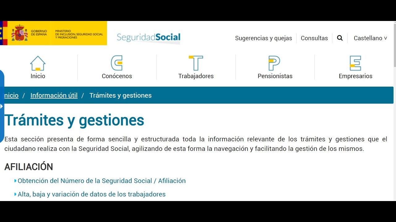 Actualizando tus Datos Personales al Cambiar tu NIE por DNI