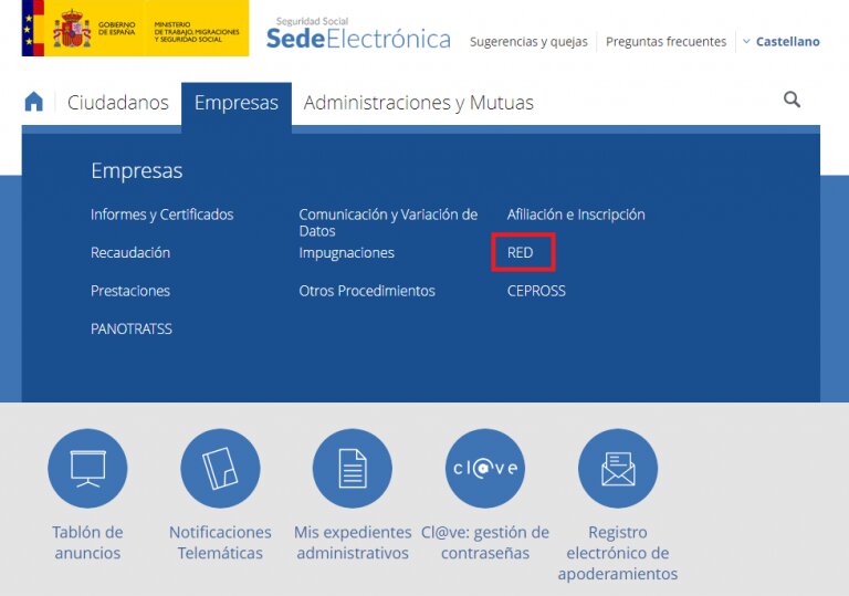 ¿Cómo puedo acceder al Sistema RED para solicitar el informe?