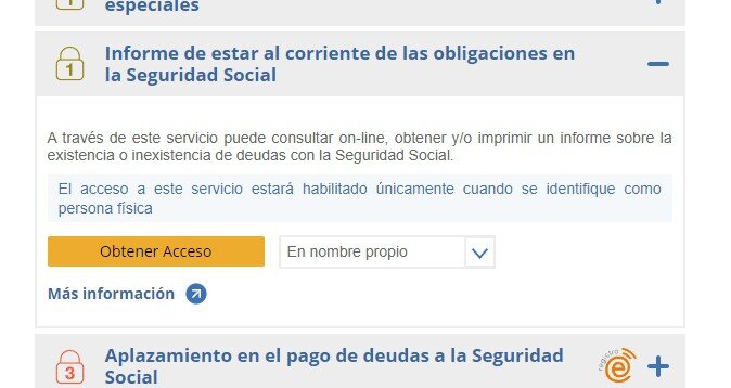 ¿Cómo puedo gestionar mi deuda con la Seguridad Social a través de RED?