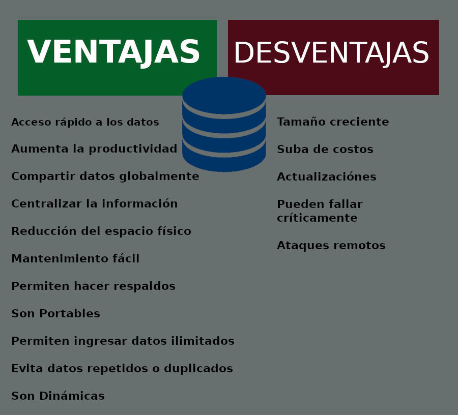 Diferencias Clave en la Consulta de Bases de Datos: Empresas vs. Personas Vinculadas