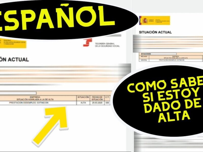 Diferencias Clave entre el Alta y el Baja de Autónomos en la Seguridad Social