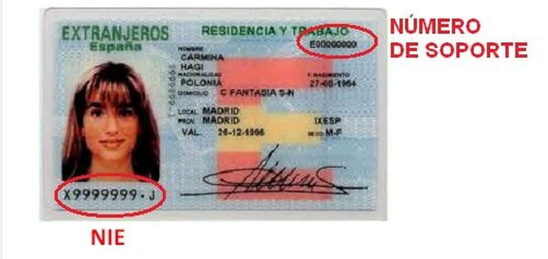 ¿Dónde puedo obtener ayuda si encuentro problemas al cambiar mi NIE por DNI?