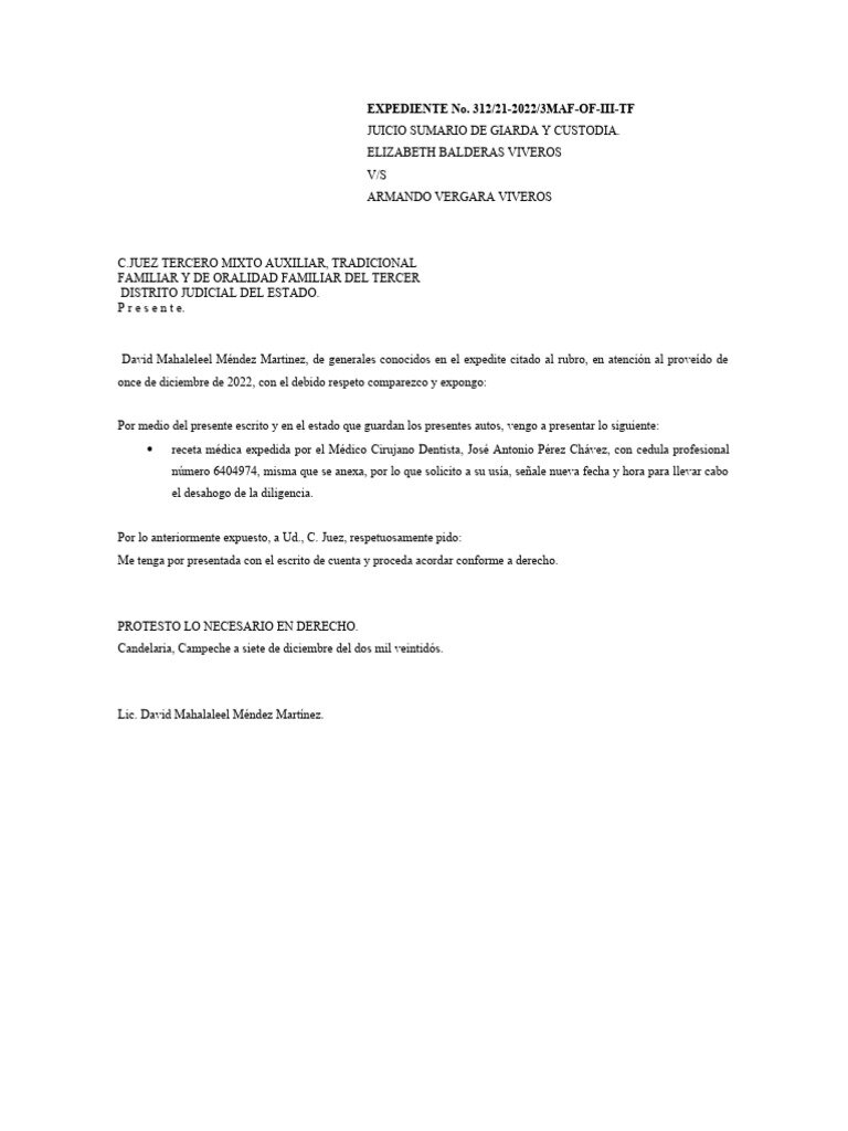 ¿Dónde Solicitar el Justificante?
