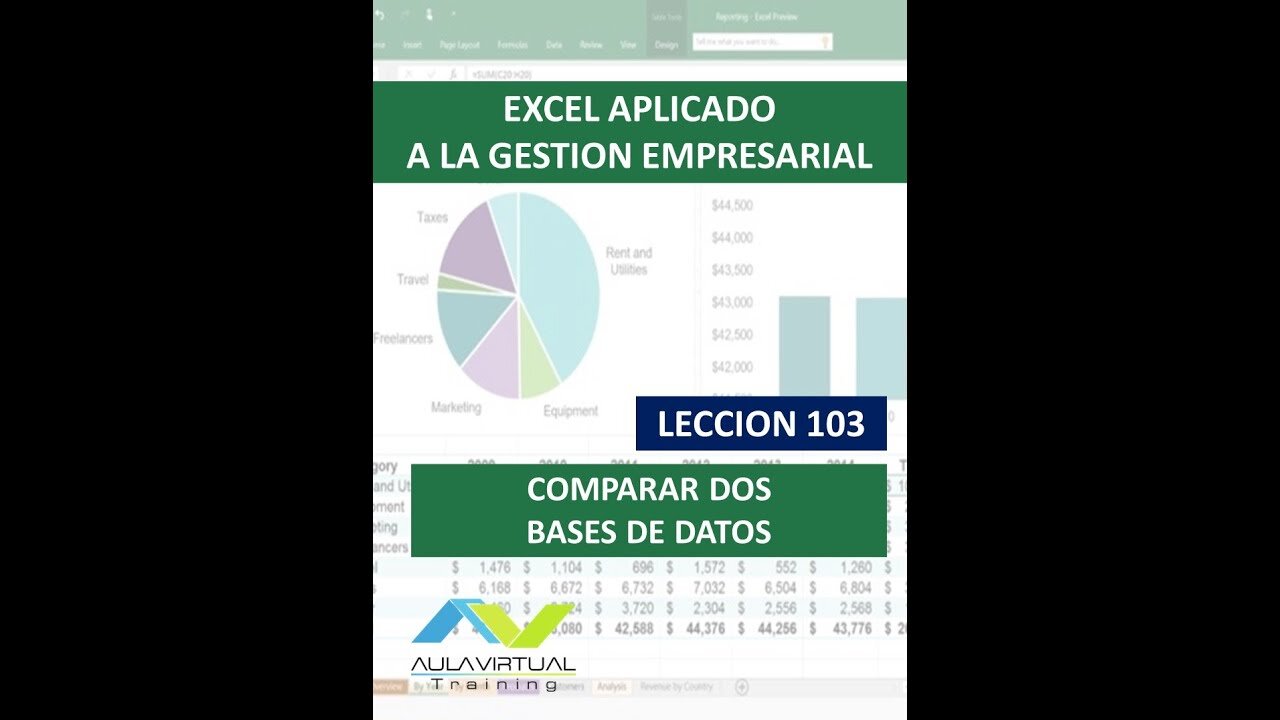 ¿Existe alguna forma de comparar versiones de la base de datos para identificar las diferencias?