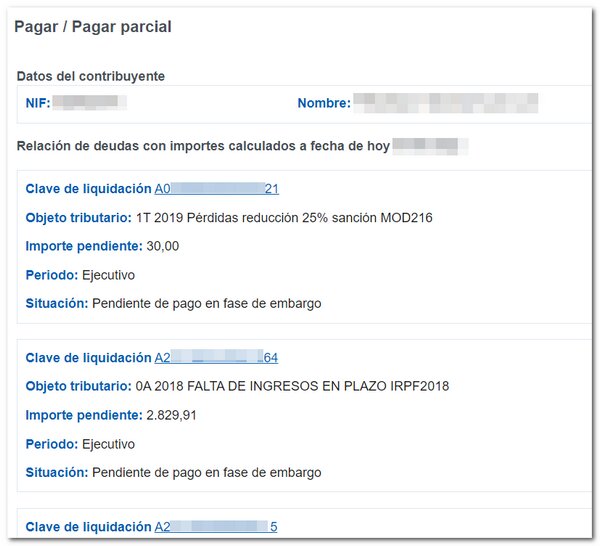 ¿Existen opciones para pagar las cuotas pendientes de forma parcial?