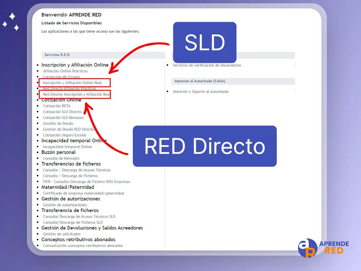 Navegando el Menú de Afiliación y Cotización en el Sistema RED