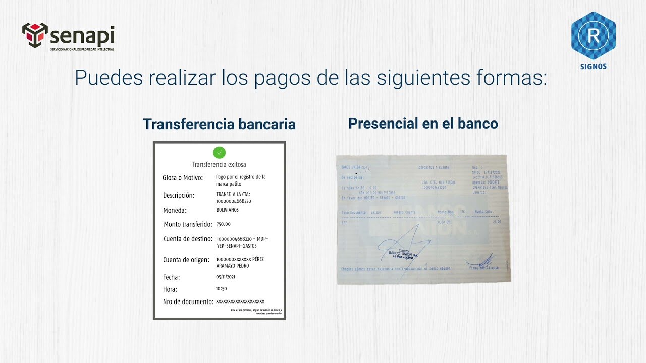 Pago de Tasas y Costos Asociados al Registro