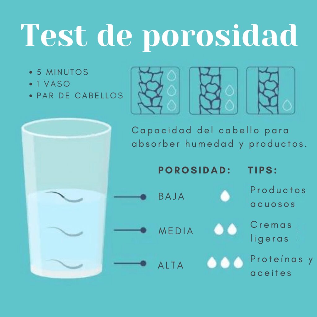 Paso a Paso: Descarga tu Duplicado de Alta o Baja como Autónomo