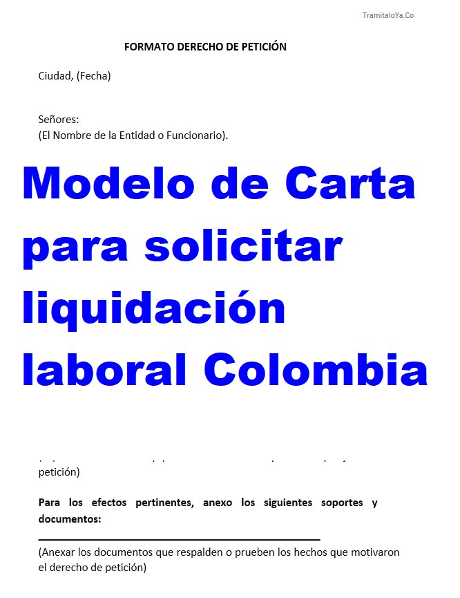 ¿Puedo eliminar yo mismo una petición de recibo de liquidación no emitido?