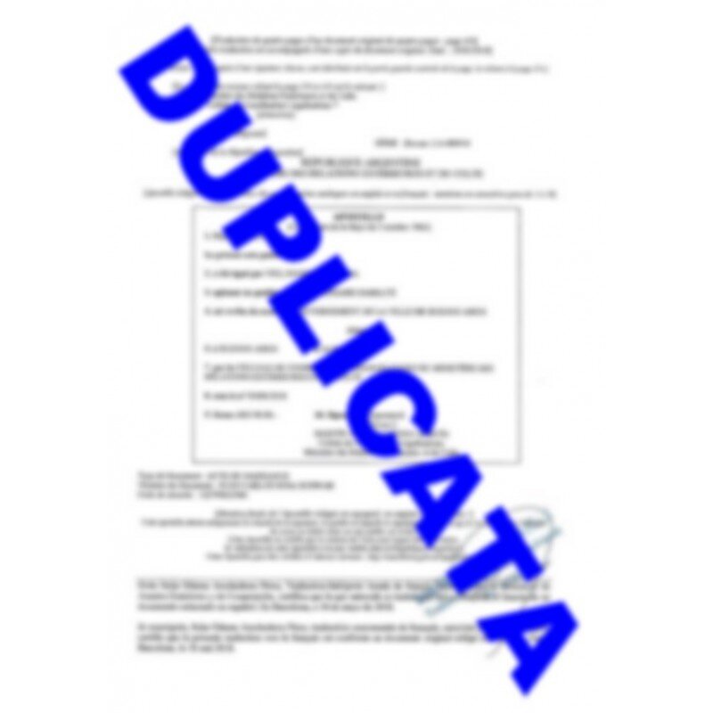 ¿Qué información contiene un Duplicado de Resolución?