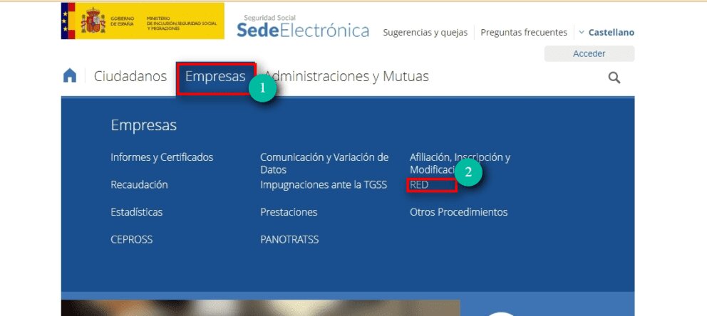 ¿Qué información puedo obtener al consultar el estado de mi solicitud en RED?