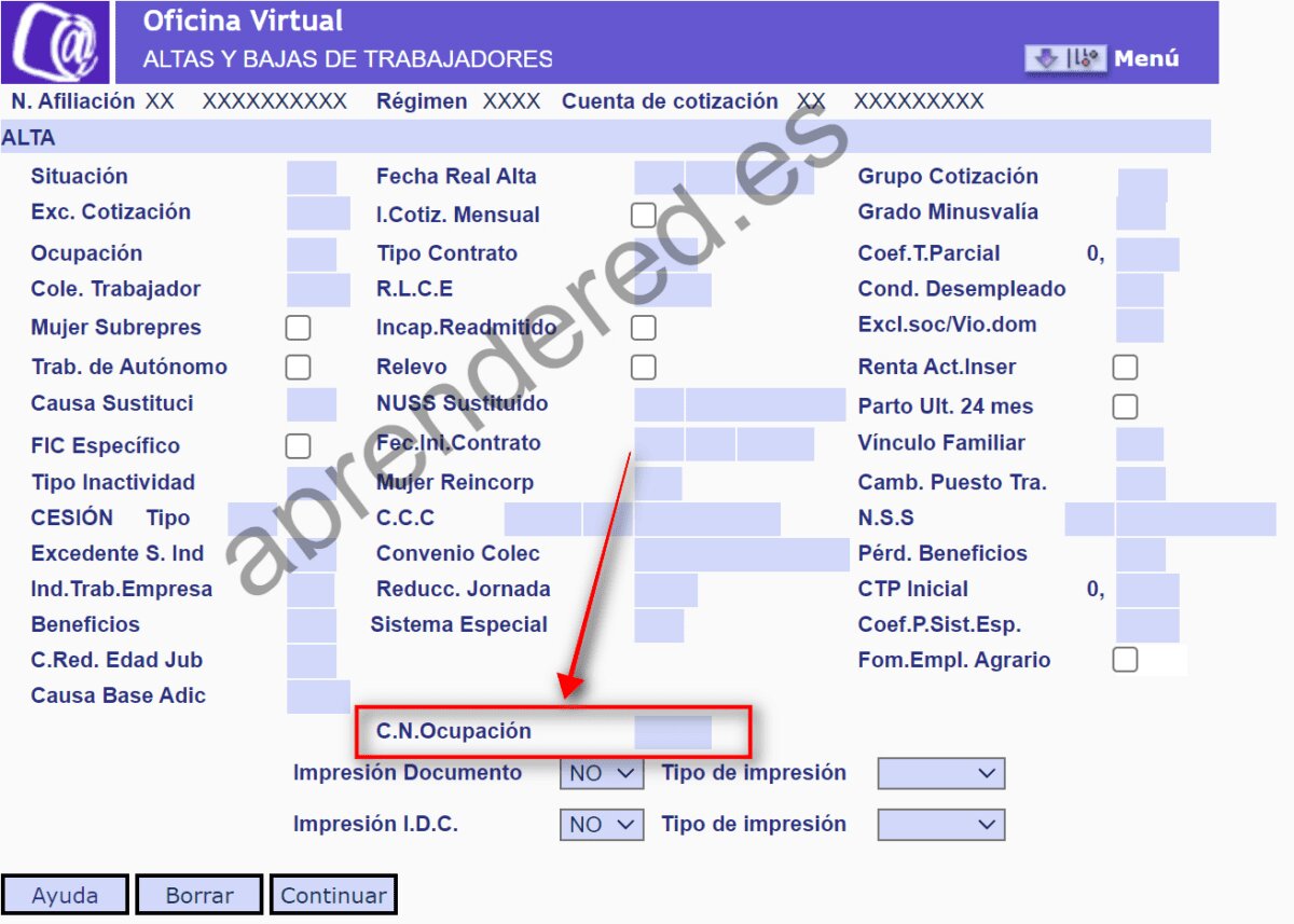 ¿Qué puedo hacer para acelerar el proceso de alta de mi empresa en RED?