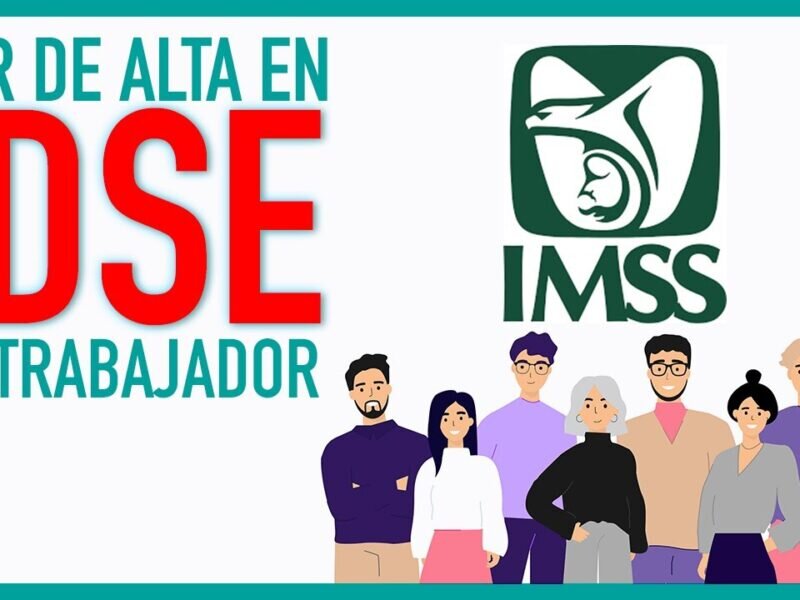 Requisitos y Condiciones para la Reactivación de una Empresa en la Seguridad Social